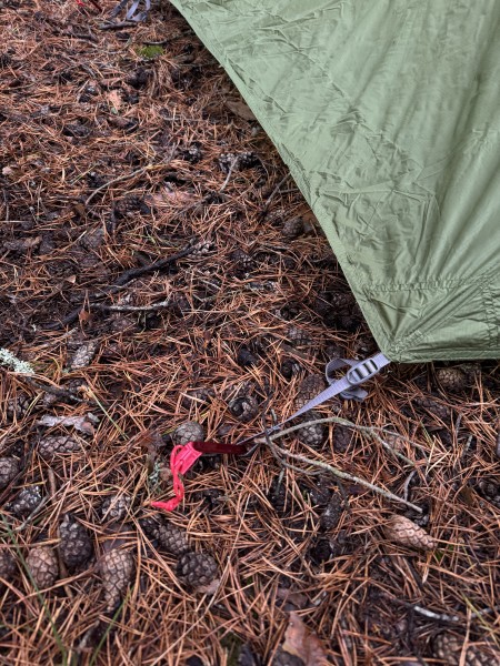 фото Палатка Pinguin Echo 2